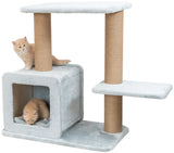 PHO_PRO_CAT_CLIP_48115-1
