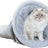 PHO_PRO_CAT_CLIP_927118-1