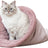 PHO_PRO_CAT_CLIP_927119-1