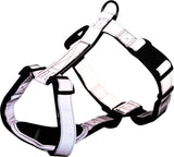 PHO_PRO_CLIP_1199616-1199716-1199816-1199916-2