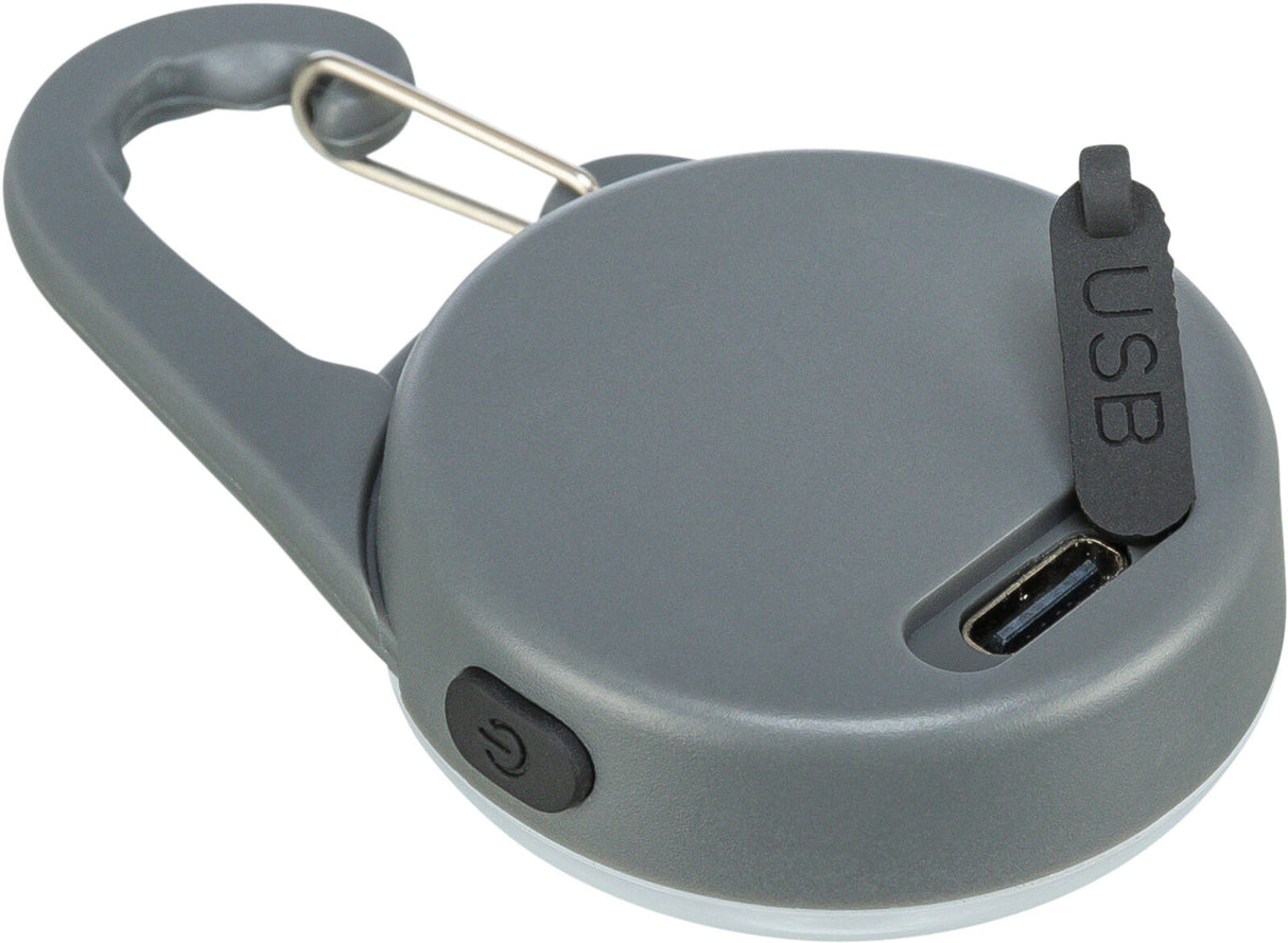USB Flasher für Hunde