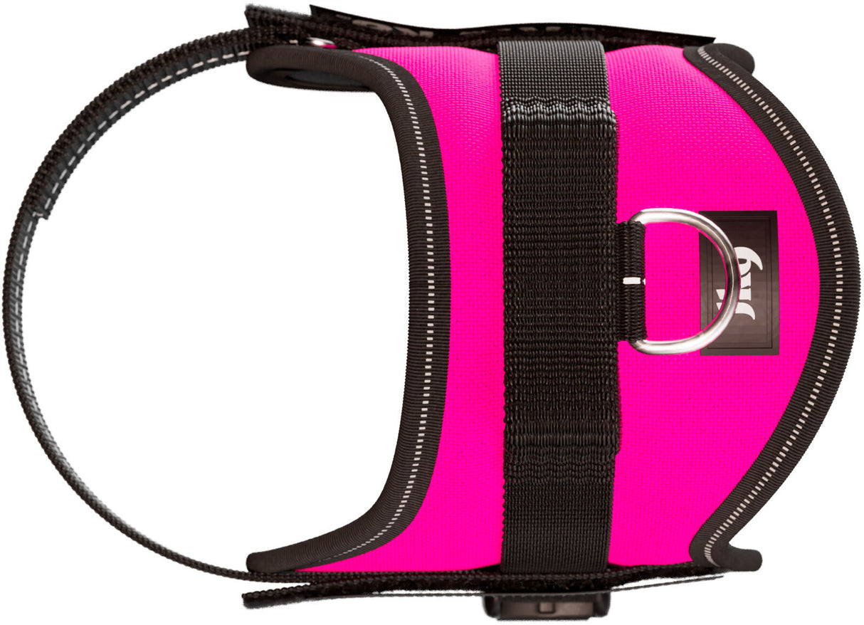 Julius-K9® Powergeschirr® Baby 1–Mini