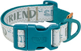 Türkises Hundehalsband mit Klickverschluss und Text "FRIEND" auf weißem Hintergrund, gestickte Details.