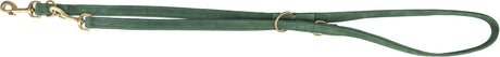 Grüne Hundeleine mit goldfarbenen Karabinerhaken und Metallringen, doppelt genäht.