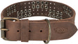 Braunes Hundehalsband aus Leder mit Metallnieten und Schnalle sowie einem sichtbaren TRIXIE Logo.