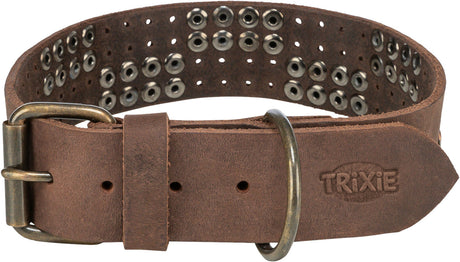 Braunes Hundehalsband aus Leder mit Metallnieten und Schnalle sowie einem sichtbaren TRIXIE Logo.