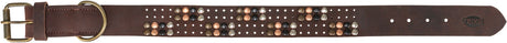 PHO_PRO_CLIP_18973-18974-18975-18976-8