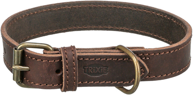 Braunes Hundehalsband aus Leder mit Metallschnalle und graviertem Logo, sichtbare Nähte und Struktur.