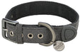 Graues Hundehalsband mit Metallschnalle, Ösen und einem runden Anhänger mit der Aufschrift „Trixie“.