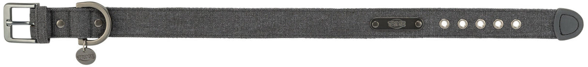 Graues Hundehalsband mit Metallschnalle, mehreren Löchern zur Größeneinstellung und Markenplakette.