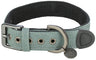 Ein grünes Hundehalsband mit Metallösen, Schnalle, D-Ring und einem Anhänger mit der Aufschrift "Trixie".