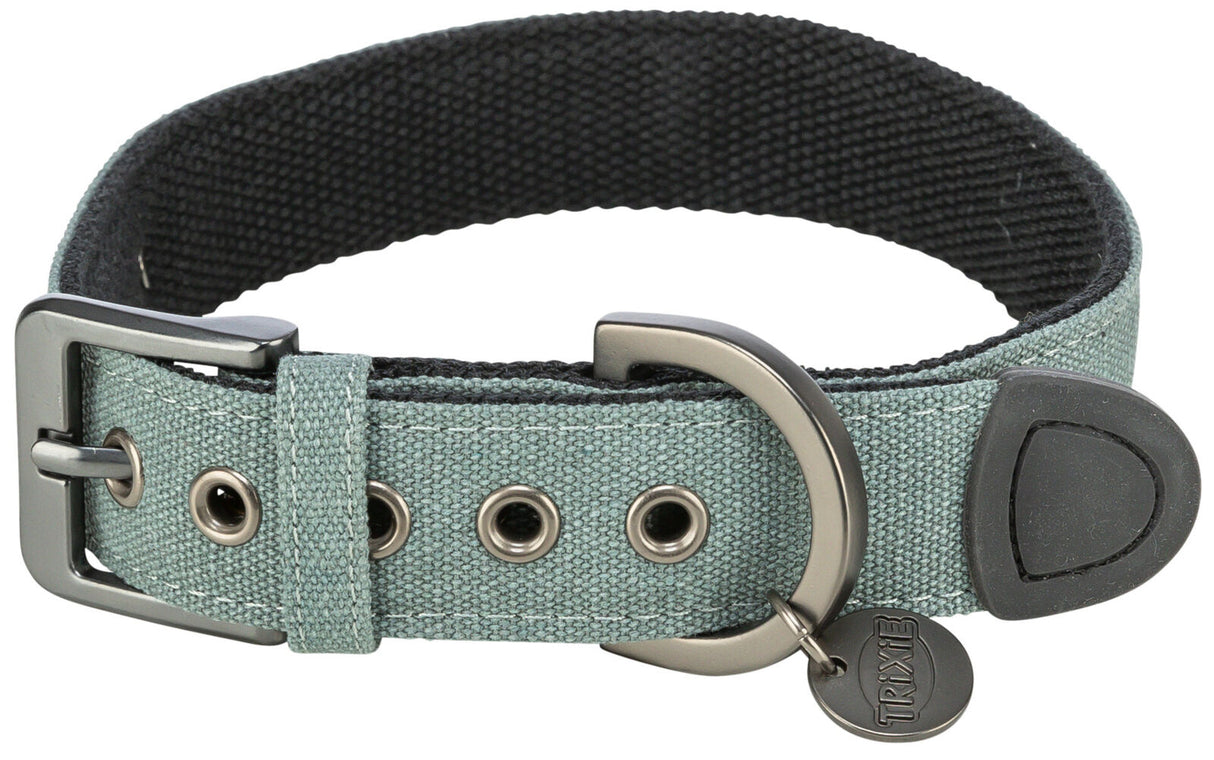 Ein grünes Hundehalsband mit Metallösen, Schnalle, D-Ring und einem Anhänger mit der Aufschrift "Trixie".