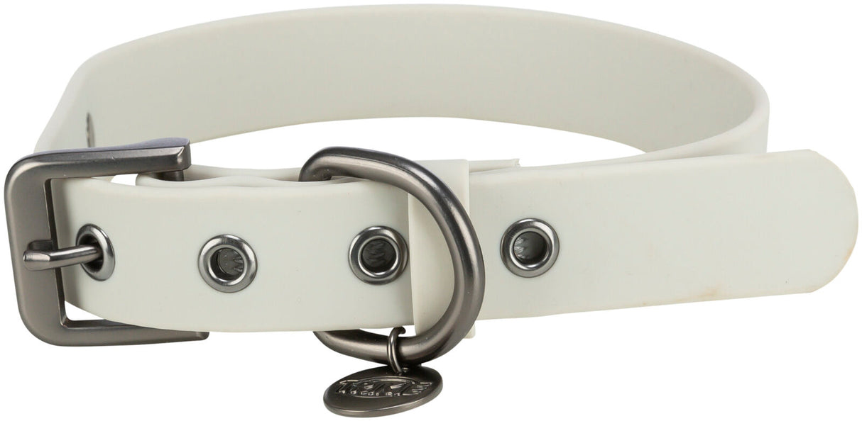Weißes Hundehalsband mit metallischer Schnalle und D-Ring sowie Anhänger an der Öse.
