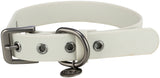 Weißes Hundehalsband mit metallischer Schnalle und D-Ring sowie Anhänger an der Öse.