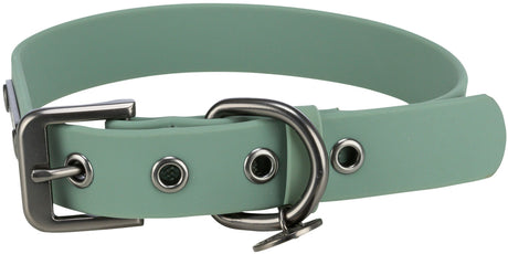 Grünes Hunde-Halsband aus Kunststoff mit Metallschnalle und mehreren Löchern zur Größenanpassung.