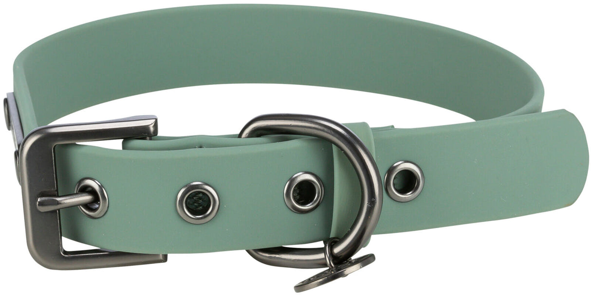 Grünes Hunde-Halsband aus Kunststoff mit Metallschnalle und mehreren Löchern zur Größenanpassung.