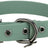 Grünes Hunde-Halsband aus Kunststoff mit Metallschnalle und mehreren Löchern zur Größenanpassung.
