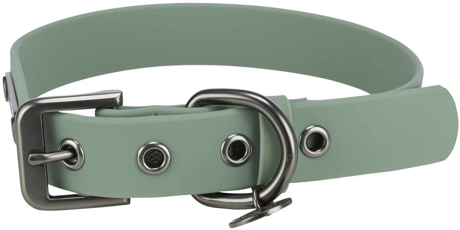 Grünes Hunde-Halsband aus Kunststoff mit Metallschnalle und mehreren Löchern zur Größenanpassung.