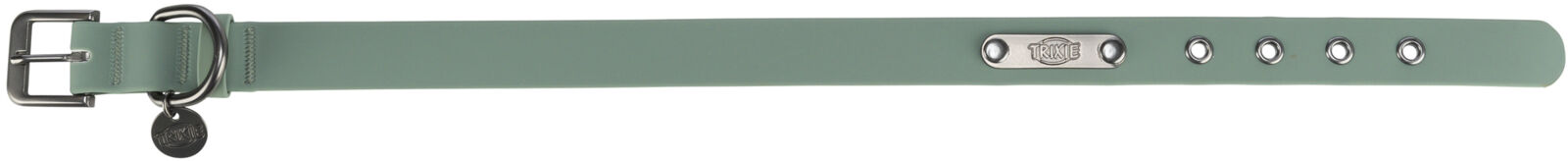 Grünes Hundehalsband mit Metallverschluss, silbernen Ösen und Anhänger, rechteckige Form.