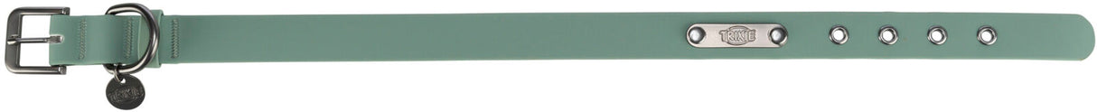 Grünes Hundehalsband mit Metallverschluss, silbernen Ösen und Anhänger, rechteckige Form.
