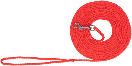 Rote geflochtene Leine mit silbernem Haken und Schlaufe, spiralförmig zusammengerollt.