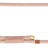 Rosa Hundeleine aus geflochtenem Material mit goldfarbenem Karabinerhaken und Schlaufe.