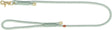 Grüne Hundeleine mit goldfarbenem Karabiner und Textilummantelung aus geflochtenem Material.