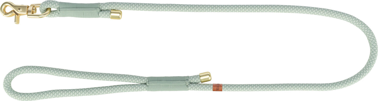 Grüne Hundeleine mit goldfarbenem Karabiner und Textilummantelung aus geflochtenem Material.