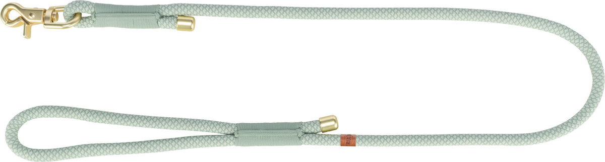 Grüne Hundeleine mit goldfarbenem Karabiner und Textilummantelung aus geflochtenem Material.