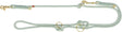 Grüne Hundeleine mit goldfarbenen Karabinerhaken und Ringen, geflochtenes Design, Lederdetails sichtbar.