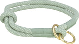 Hellgrünes, geflochtenes Hundehalsband mit goldfarbenen Metallringen in einem schlichten Design.