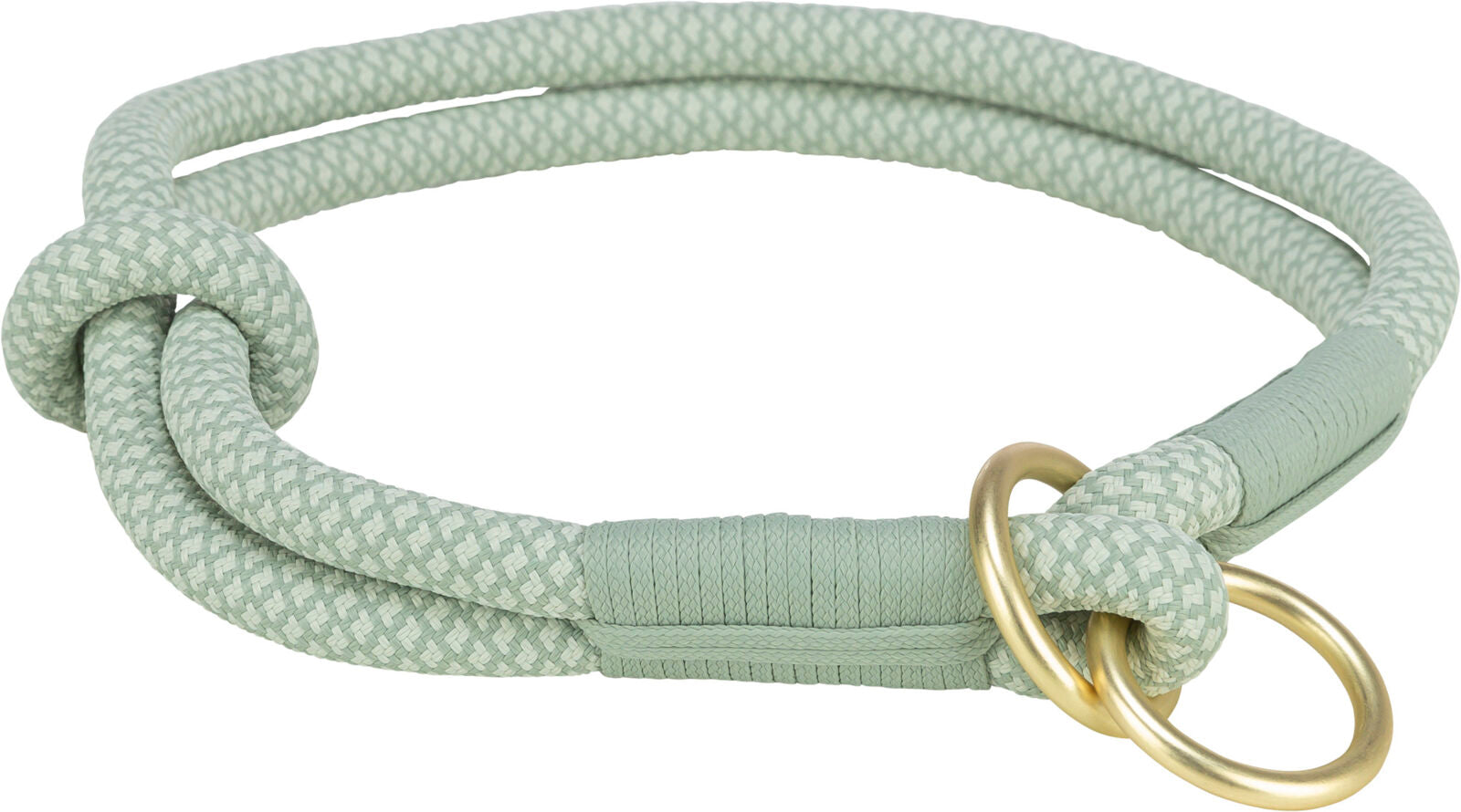 Hellgrünes, geflochtenes Hundehalsband mit goldfarbenen Metallringen in einem schlichten Design.