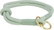 Hellgrünes, geflochtenes Hundehalsband mit goldfarbenen Metallringen in einem schlichten Design.