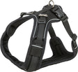 Schwarzes Hundegeschirr mit Mesh-Material und reflektierenden Streifen, verstellbaren Gurten und Klickverschluss.