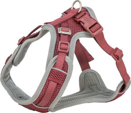 Rotes und graues Hundegeschirr mit Schnallen und Ringen, aus atmungsaktivem Netzstoff gefertigt.