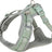 PHO_PRO_CLIP_1989134-1989234-1989334-1989434-1