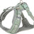 Graues und grünes Hundegeschirr mit verstellbaren Riemen und Mesh-Polsterung, Metallschnallen und D-Ring.