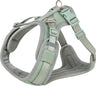 Graues und grünes Hundegeschirr mit verstellbaren Riemen und Mesh-Polsterung, Metallschnallen und D-Ring.
