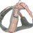 Ein beige-graues, aus Mesh-Material gefertigtes Hundegeschirr mit verstellbaren Gurten und einem Metallring.