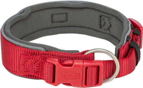 Breites, gepolstertes Hundehalsband in Rot mit grauer Innenseite, rotem Verschluss und silbernem D-Ring.