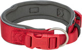 Breites, gepolstertes Hundehalsband in Rot mit grauer Innenseite, rotem Verschluss und silbernem D-Ring.