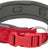 Breites, gepolstertes Hundehalsband in Rot mit grauer Innenseite, rotem Verschluss und silbernem D-Ring.