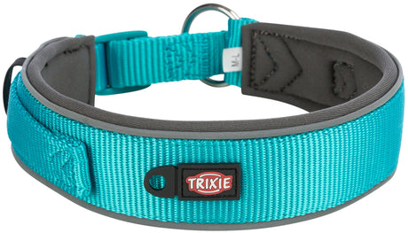 Hundehalsband in Türkis mit grauen Akzenten und einem Logo, Schnalle und Metallring erkennbar.