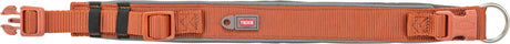PHO_PRO_CLIP_1995530-1995630-1995730-1995830-1995930-3