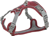 Rotes und graues Hundegeschirr mit verstellbaren Riemen und einem D-Ring aus Metall oben.