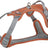 Graues und oranges Hundegeschirr mit verstellbaren Riemen und einem Metallring, gepolstert für Komfort.