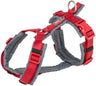 Rotes Hundegeschirr mit grauen Polstern und verstellbaren Gurten, Metallschnallen und Kunststoffverschlüssen.