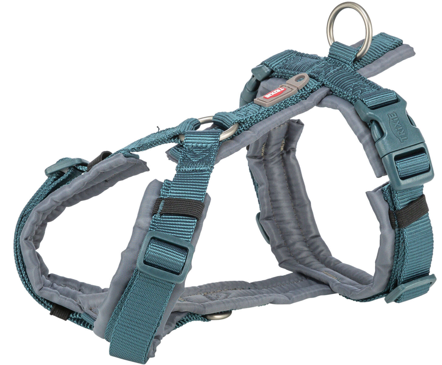 Graues und blaues Hundegeschirr mit verstellbaren Gurten und D-Ringen.