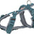 Graues und blaues Hundegeschirr mit verstellbaren Gurten und D-Ringen.