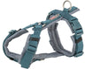 Graues und blaues Hundegeschirr mit verstellbaren Gurten und D-Ringen.